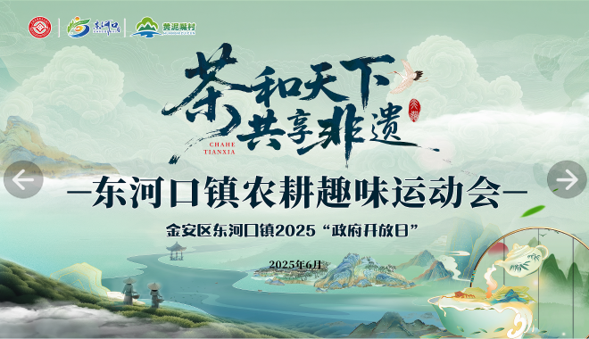 金安区东河口镇：茶和天下 共享非遗现场集锦