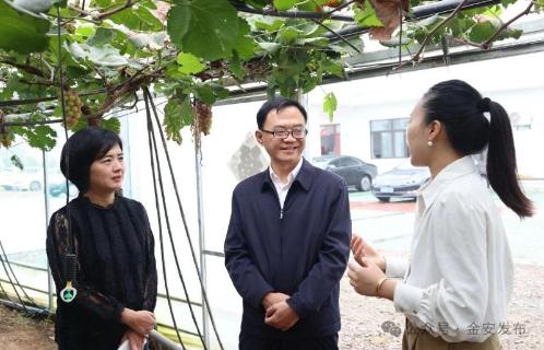 王红赴翁墩乡开展调研