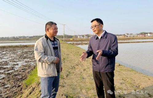 王红督导调研学习教育和集中整治工作