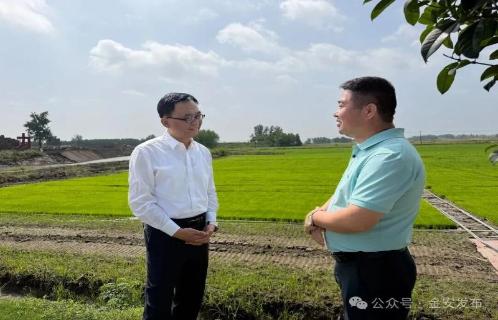 王红赴基层党组织调研指导学习教育工作